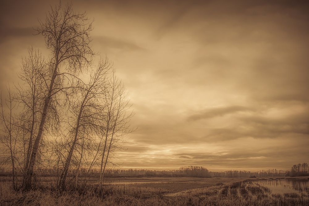 Serene Morning art print by Don Schwartz for $57.95 CAD
