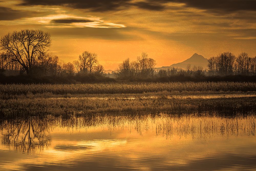 Morning Unfolds art print by Don Schwartz for $57.95 CAD