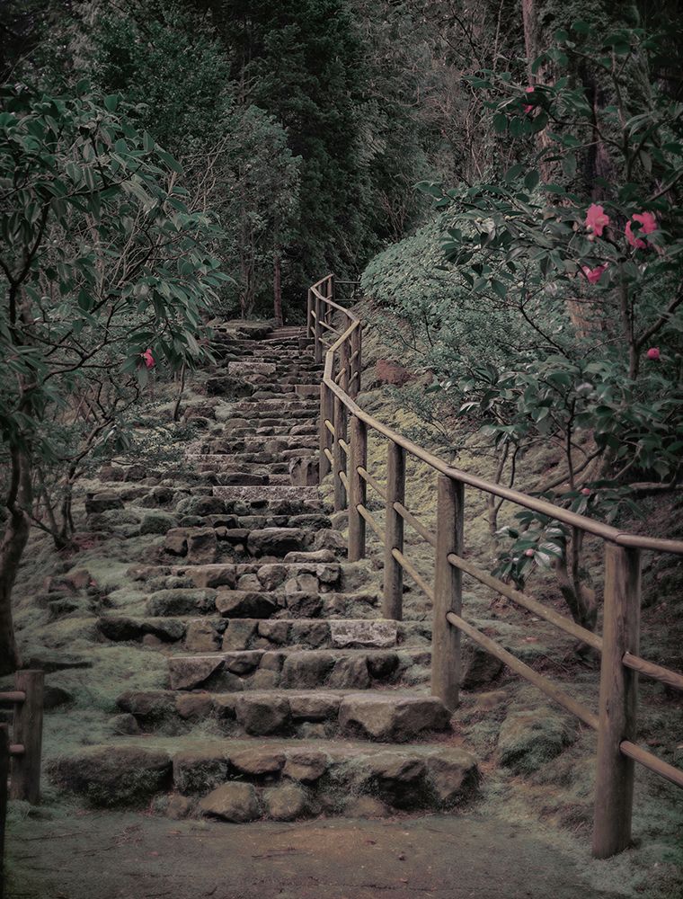 Garden Stairway art print by Don Schwartz for $57.95 CAD