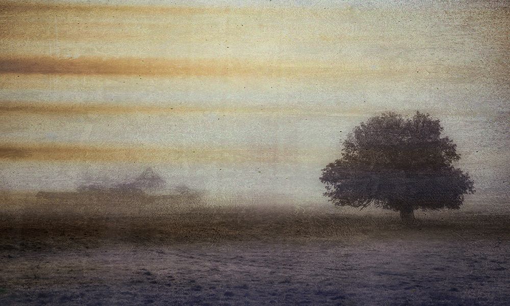 Misty Barn and Tree art print by Don Schwartz for $57.95 CAD