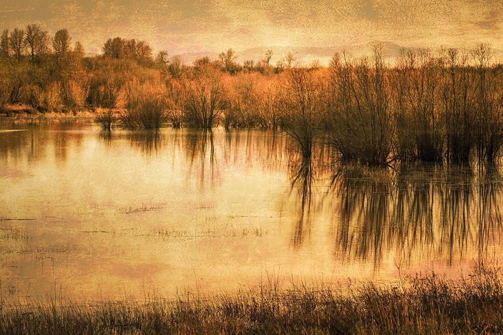 Just after Dawn art print by Don Schwartz for $57.95 CAD