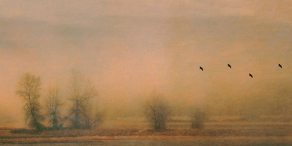 Foggy Island art print by Don Schwartz for $57.95 CAD