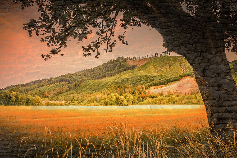 Hillside View art print by Don Schwartz for $57.95 CAD