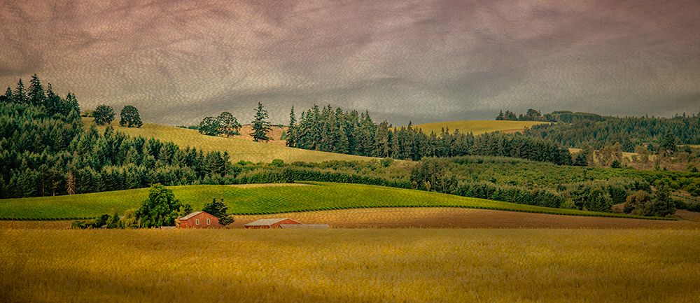Fertile Field art print by Don Schwartz for $57.95 CAD