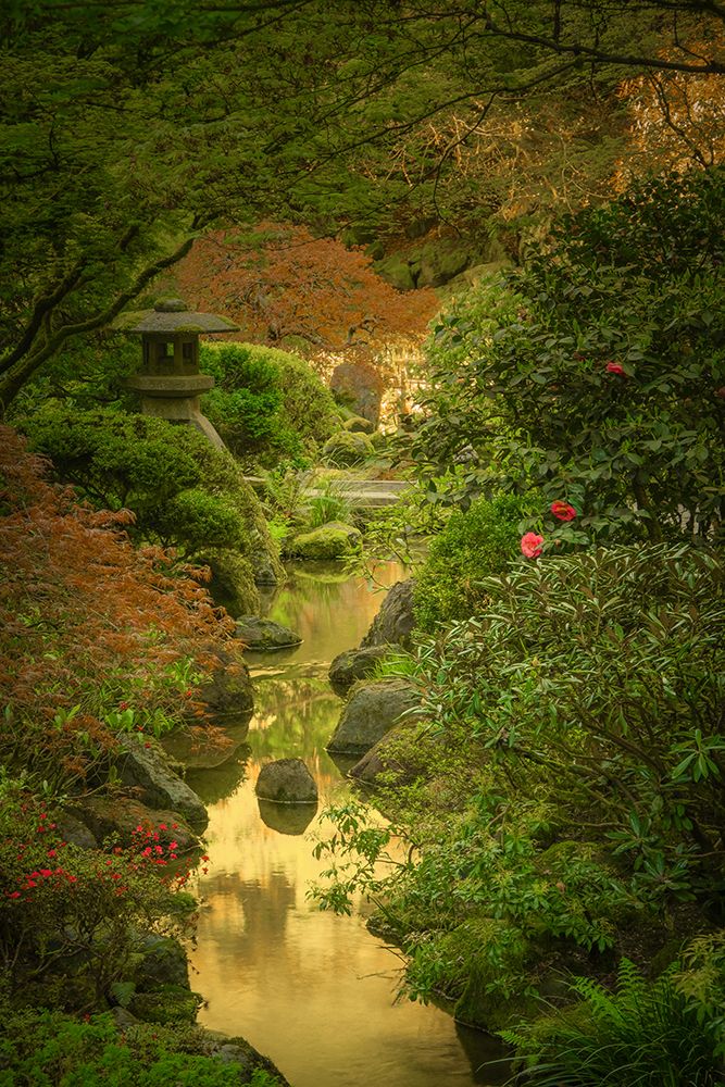 Spring from the Moonbridge art print by Don Schwartz for $57.95 CAD