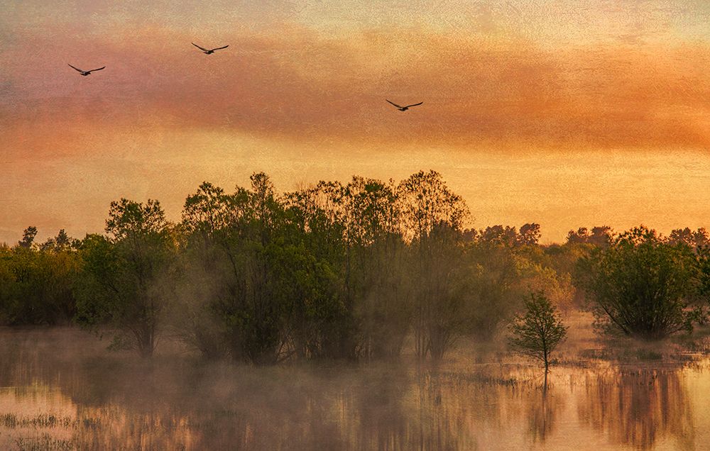 Mist Rising art print by Don Schwartz for $57.95 CAD