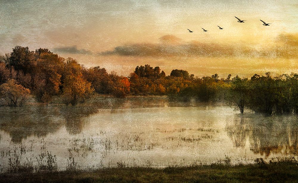 Spring Wetlands art print by Don Schwartz for $57.95 CAD