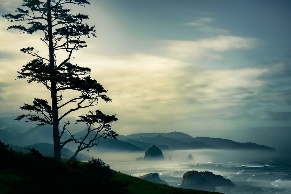 Beyond the Tree at the Overlook art print by Don Schwartz for $57.95 CAD