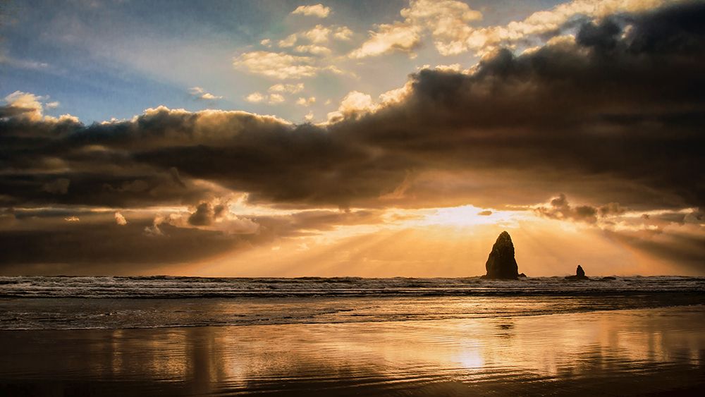 Basking in the Light art print by Don Schwartz for $57.95 CAD