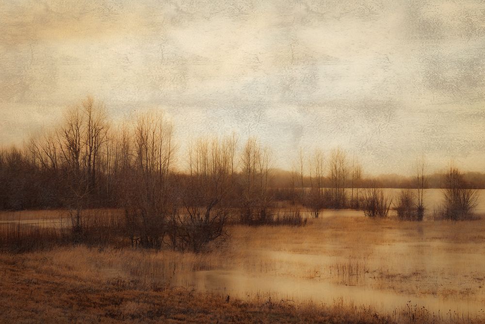 Marshland art print by Don Schwartz for $57.95 CAD