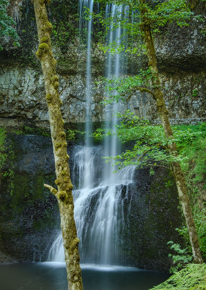 Lower South Falls art print by Don Schwartz for $57.95 CAD
