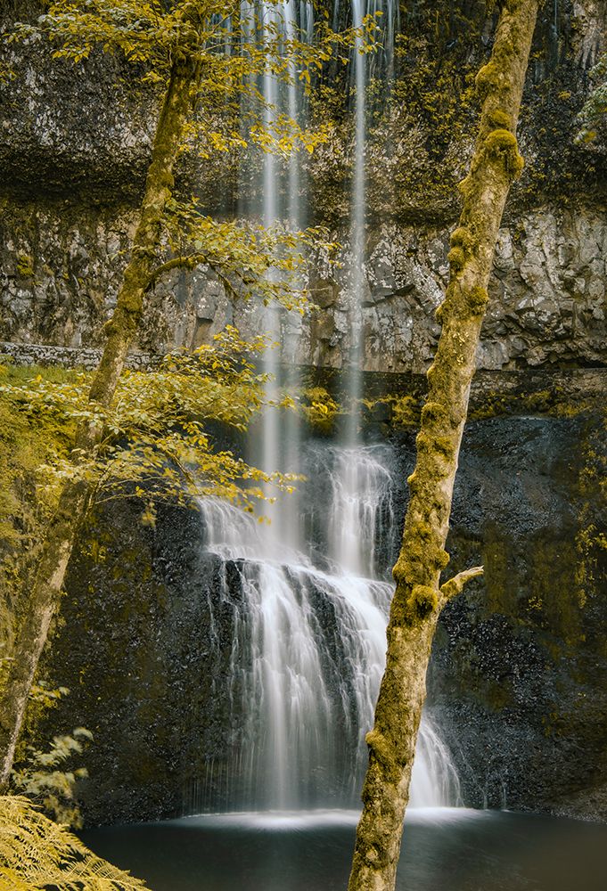 Lower South Falls Golden art print by Don Schwartz for $57.95 CAD