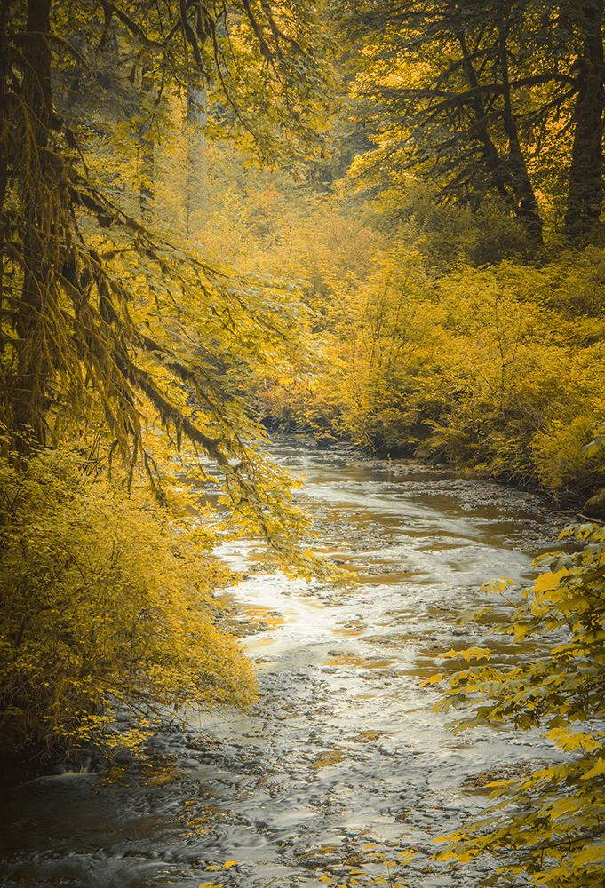 Autumn Creek art print by Don Schwartz for $57.95 CAD