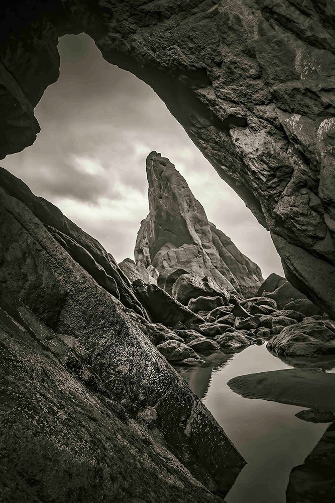 Peeking Through art print by Don Schwartz for $57.95 CAD