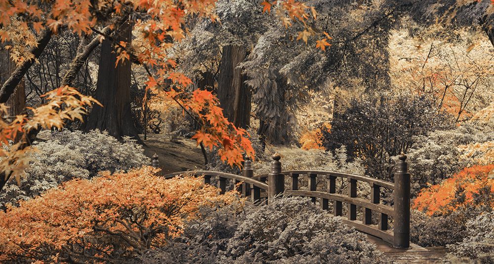 Moon Bridge Walk art print by Don Schwartz for $57.95 CAD