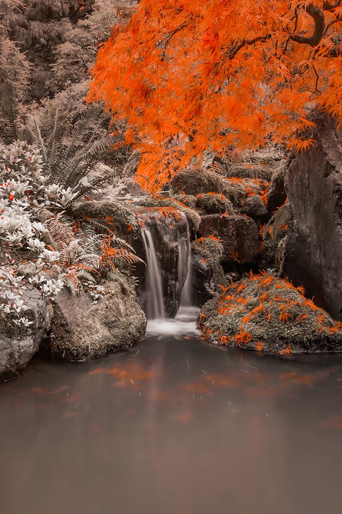 Splash in the Pond art print by Don Schwartz for $57.95 CAD