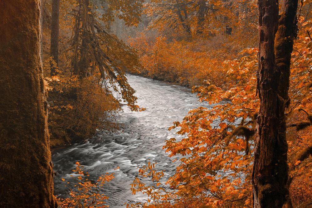 Silver Creek art print by Don Schwartz for $57.95 CAD