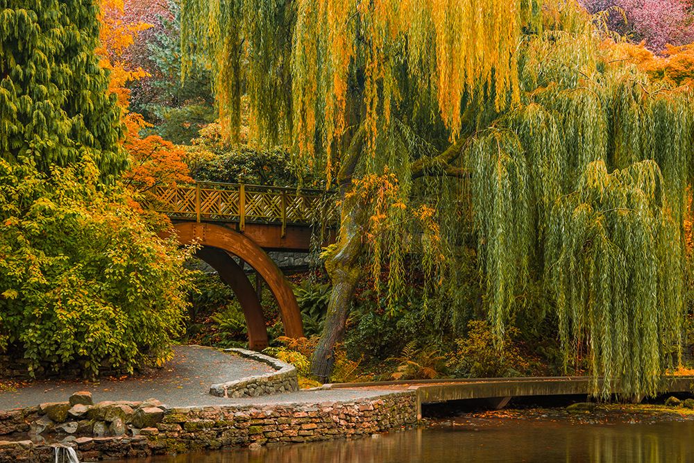 Willows over the Pond art print by Don Schwartz for $57.95 CAD