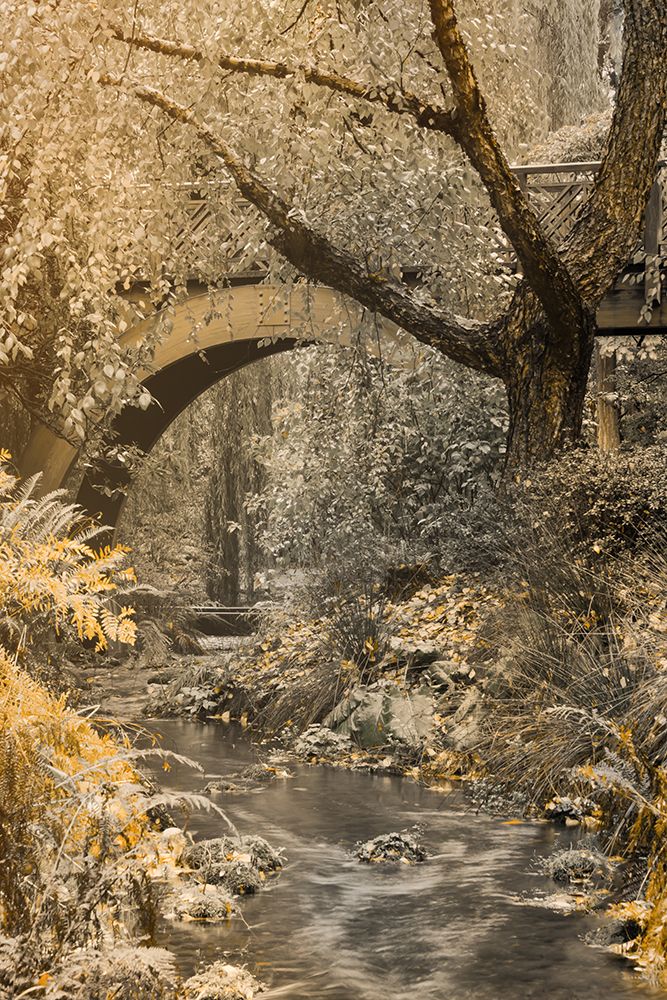 Flowing under the Bridge art print by Don Schwartz for $57.95 CAD