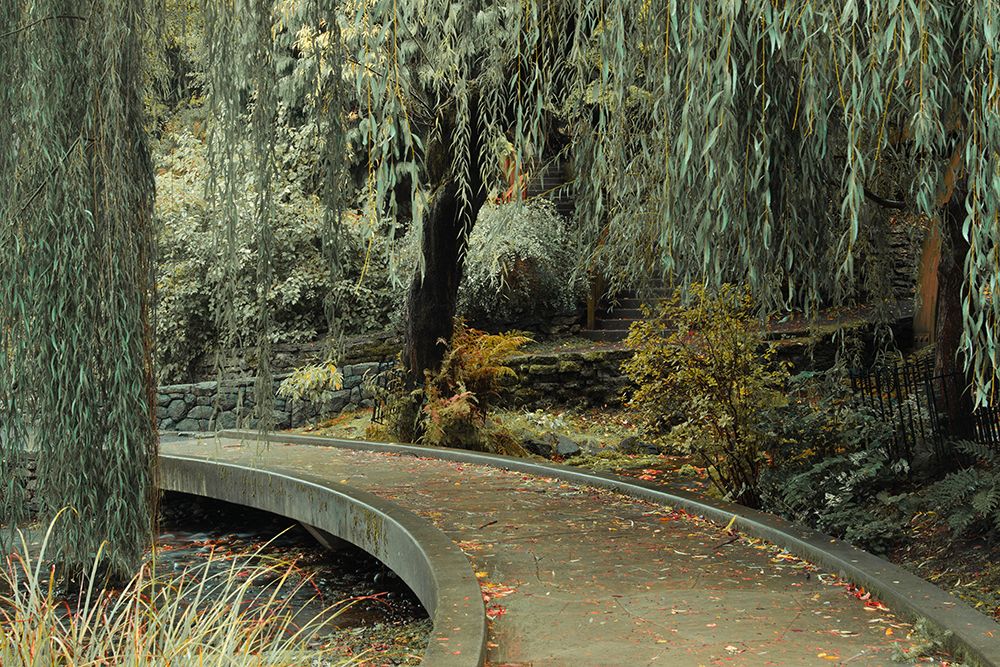 Garden Path art print by Don Schwartz for $57.95 CAD