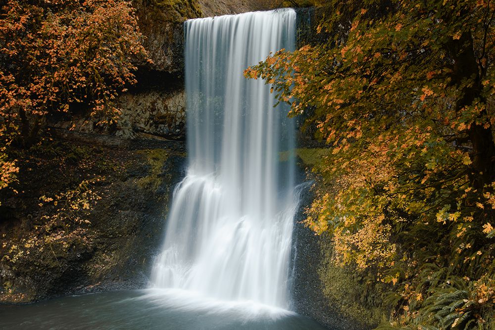 Autumn Cascade art print by Don Schwartz for $57.95 CAD