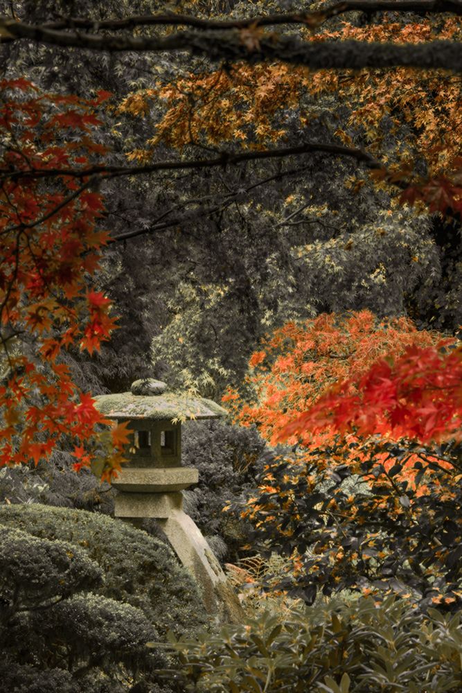 Lantern in the Autumn Glow art print by Don Schwartz for $57.95 CAD