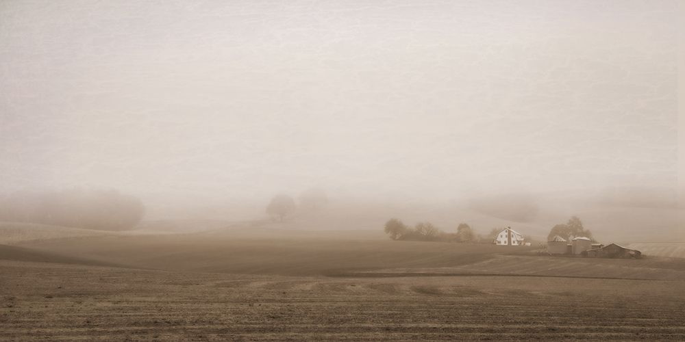 Foggy Country Farm art print by Don Schwartz for $57.95 CAD