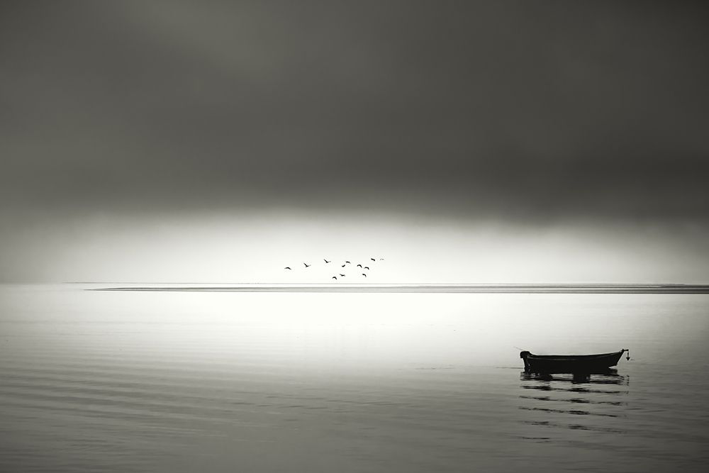 Quiet Morning in the Bay art print by Don Schwartz for $57.95 CAD
