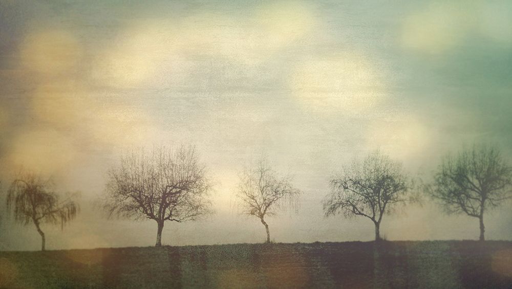 Five Trees on a Hill art print by Don Schwartz for $57.95 CAD