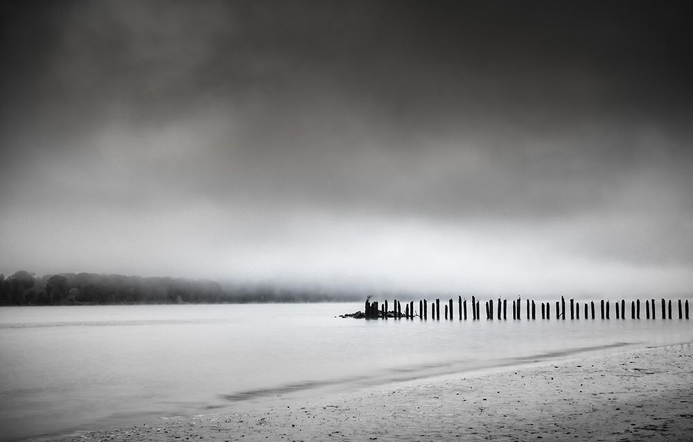 Pilings along the Columbia art print by Don Schwartz for $57.95 CAD