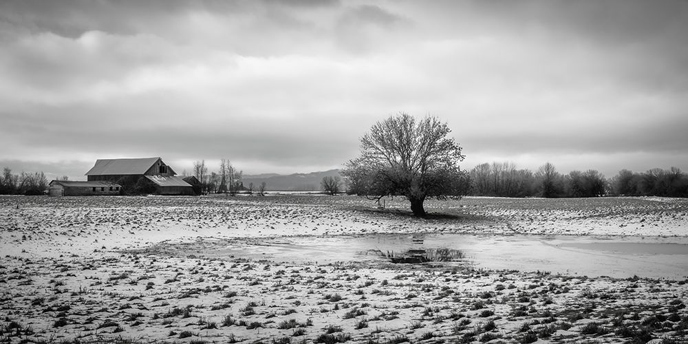 In the Snowy Pasture art print by Don Schwartz for $57.95 CAD