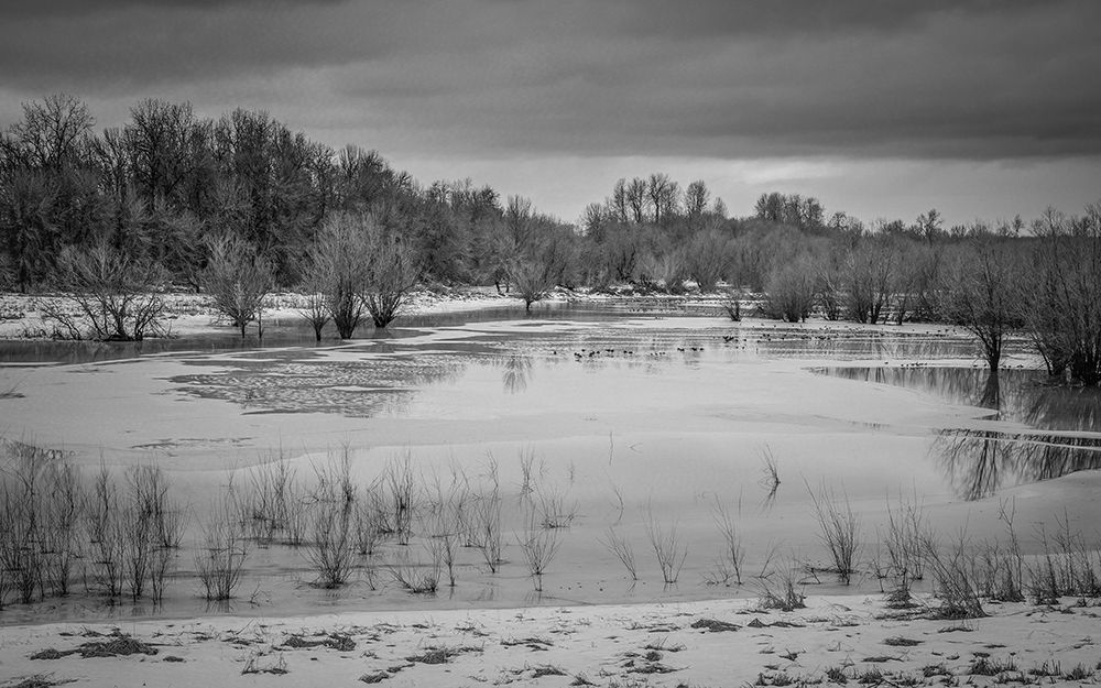Winter Wetland art print by Don Schwartz for $57.95 CAD