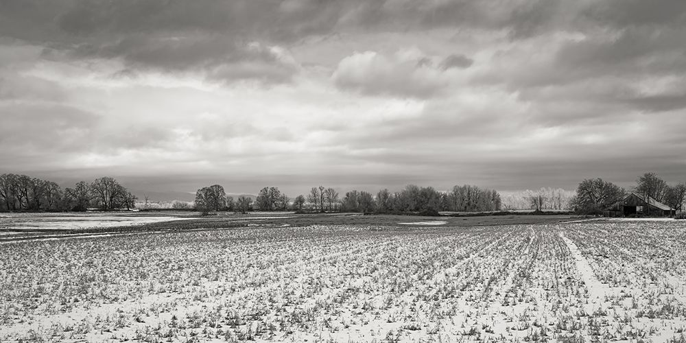Snow Dusted Field art print by Don Schwartz for $57.95 CAD