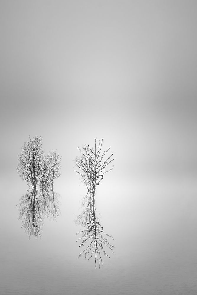 Bare Reflections art print by Don Schwartz for $57.95 CAD