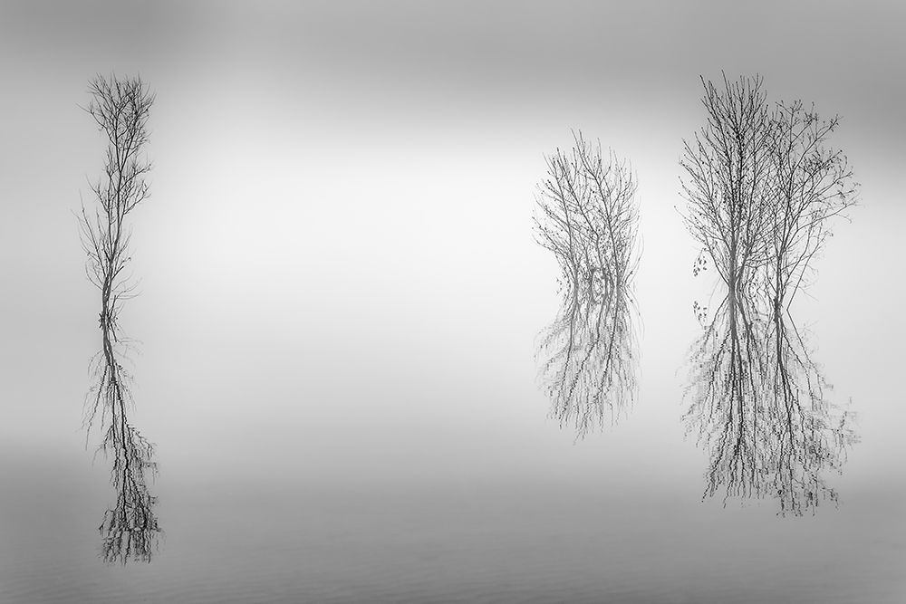 Wetland Tranquility art print by Don Schwartz for $57.95 CAD