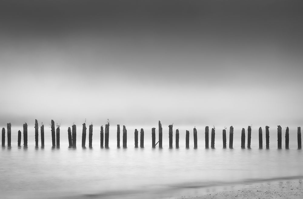 Morning Lineup art print by Don Schwartz for $57.95 CAD