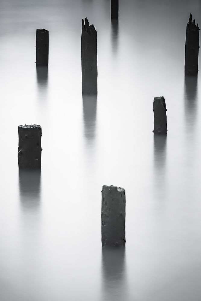 River Pilings art print by Don Schwartz for $57.95 CAD