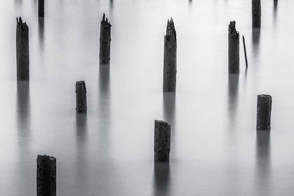 Pilings on the Rivers Edge art print by Don Schwartz for $57.95 CAD