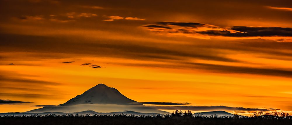 Mt Hood Sunrise art print by Don Schwartz for $57.95 CAD