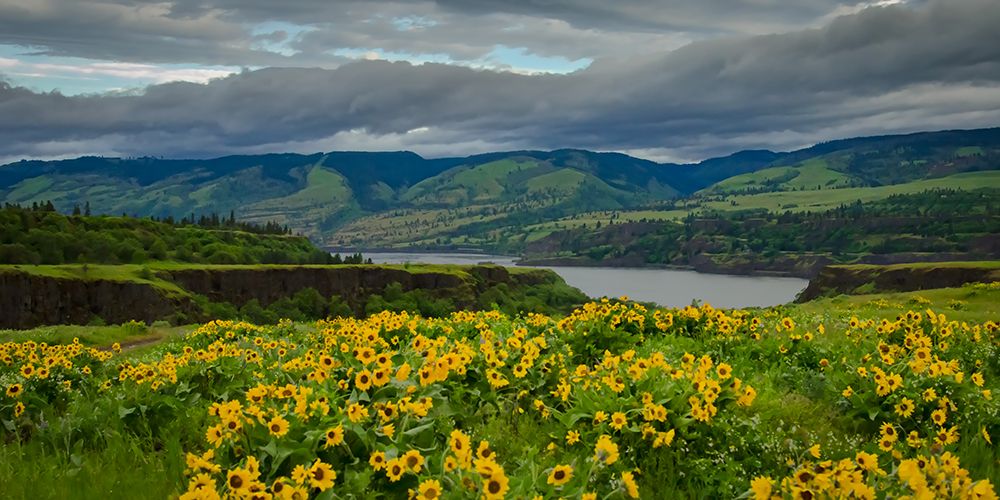 Spring Bursts Along the Columbia art print by Don Schwartz for $57.95 CAD