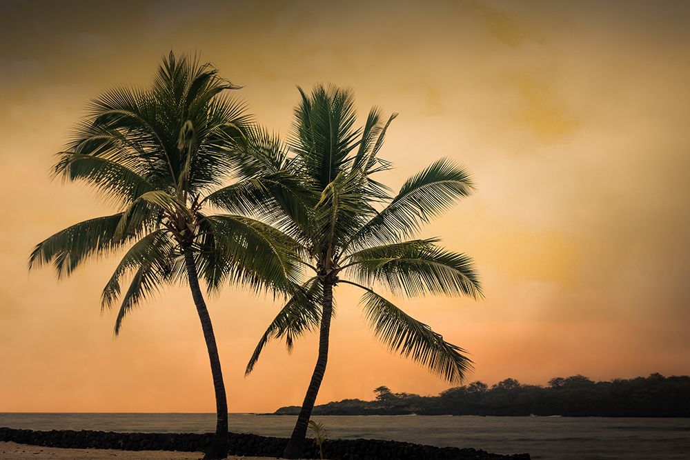 Two Palms at Sunset art print by Don Schwartz for $57.95 CAD