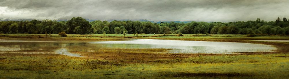 Glistening Wetland art print by Don Schwartz for $57.95 CAD
