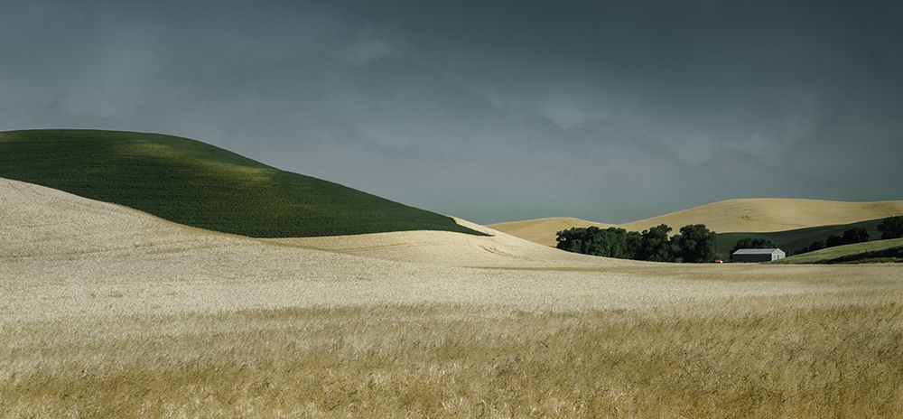 Flowing Wheat art print by Don Schwartz for $57.95 CAD
