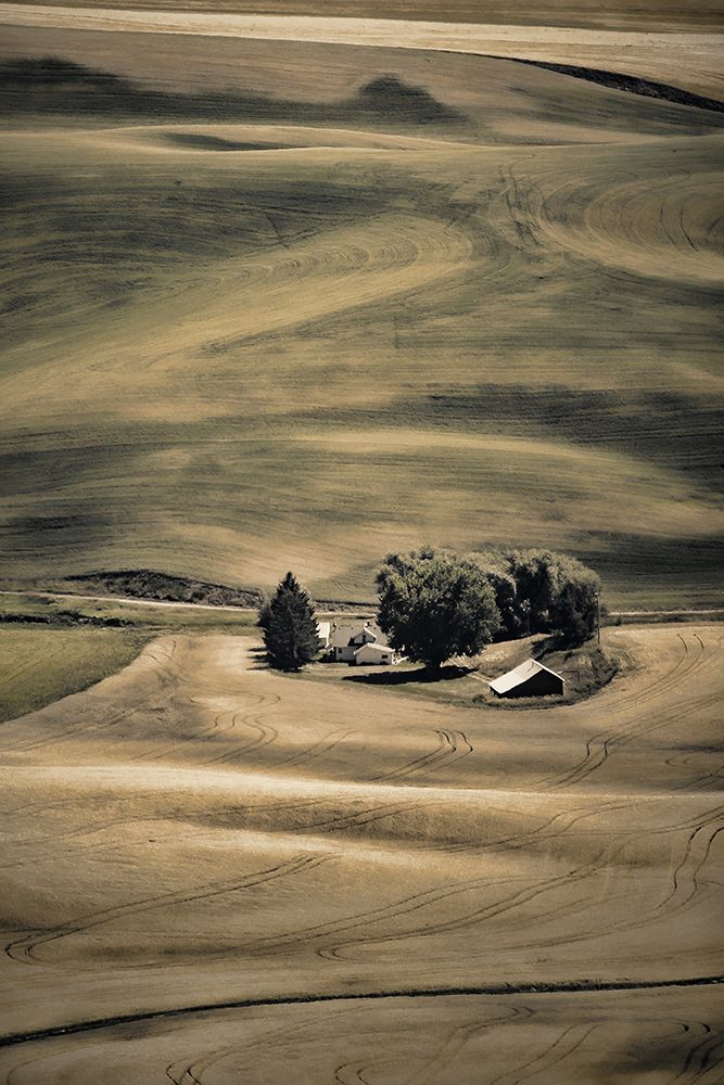 Hills and Swirls art print by Don Schwartz for $57.95 CAD