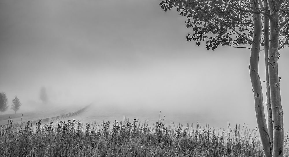 Sun and Fog art print by Don Schwartz for $57.95 CAD