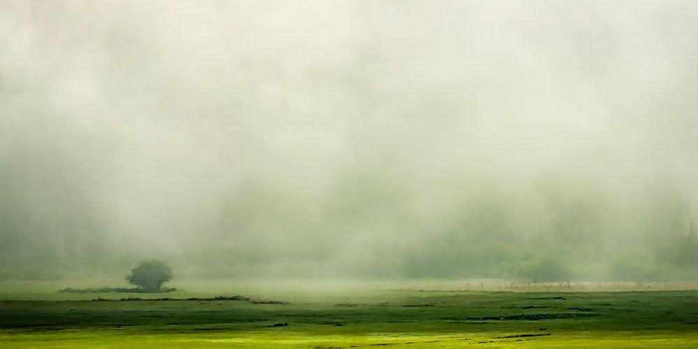 Fog Rolls In art print by Don Schwartz for $57.95 CAD