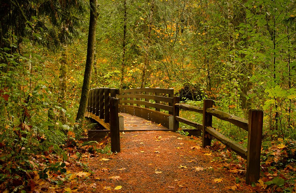 Creekside Bridge art print by Don Schwartz for $57.95 CAD
