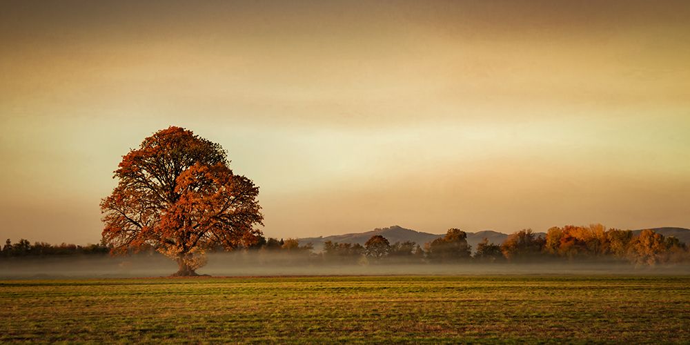 Touched by Fog art print by Don Schwartz for $57.95 CAD