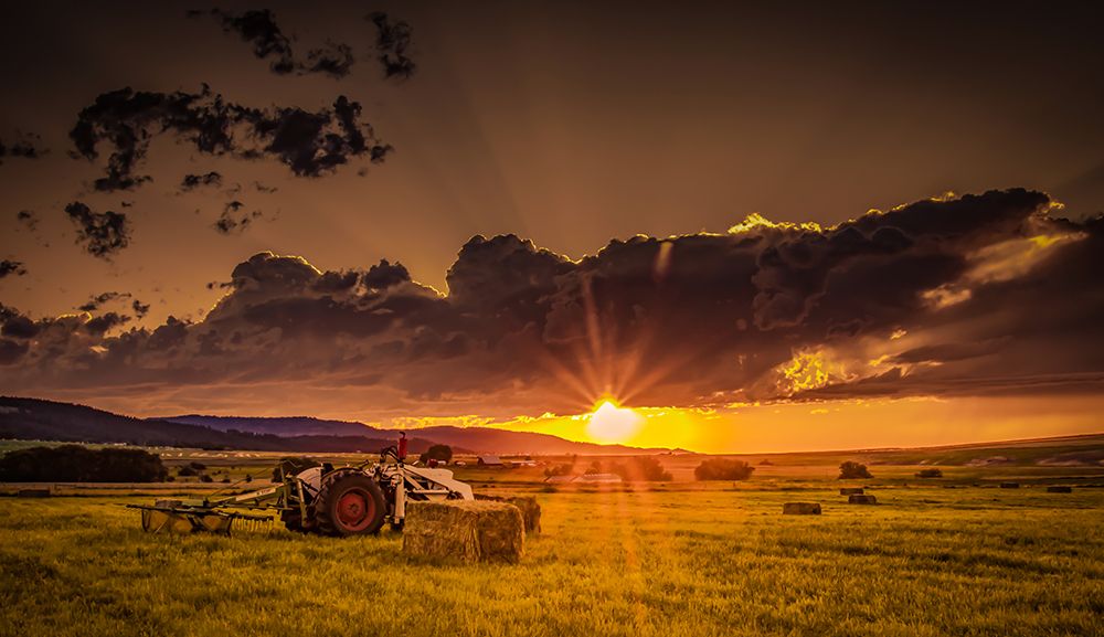 Sunset in the Hay Field art print by Don Schwartz for $57.95 CAD