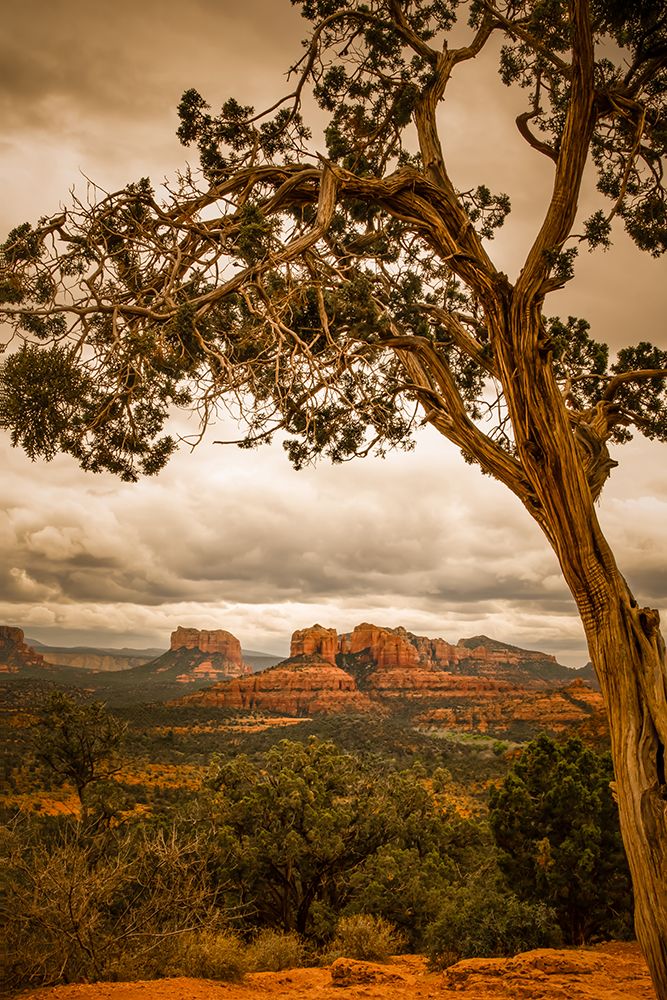 Sedona Overlook art print by Don Schwartz for $57.95 CAD